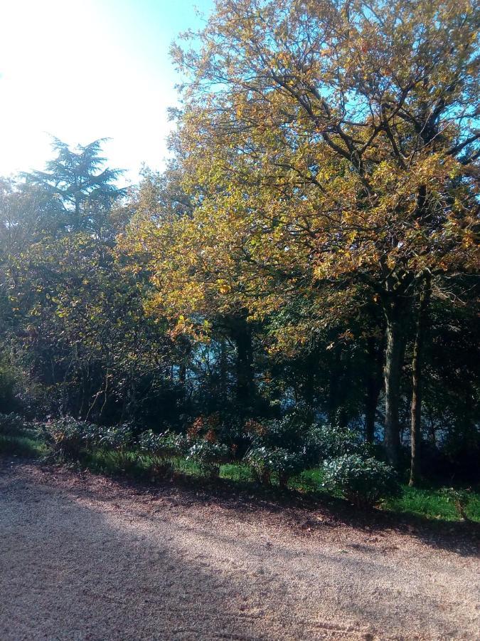 Le Manoir Des Rochers Bouere Exterior foto